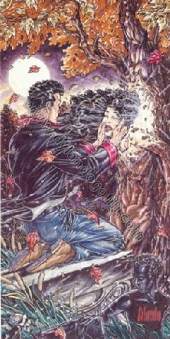 ILLUSTRAZIONE 5                                                                                                                                                                                                                                           