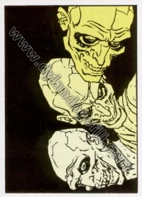 VIGNETTA COLORI N°3                                                                                                                                                                                                                                       