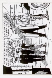 VIGNETTA N°43                                                                                                                                                                                                                                             