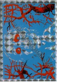 PRISMATICO N°11                                                                                                                                                                                                                                           