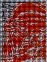 PRISMATICO N°16                                                                                                                                                                                                                                           
