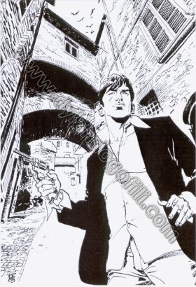 CARTOLINA NARNIA 2009 - BRUNO BRINDISI                                                                                                                                                                                                                    