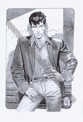 CARTOLINA NARNIA 2009 - LUIGI SINISCALCHI                                                                                                                                                                                                                 