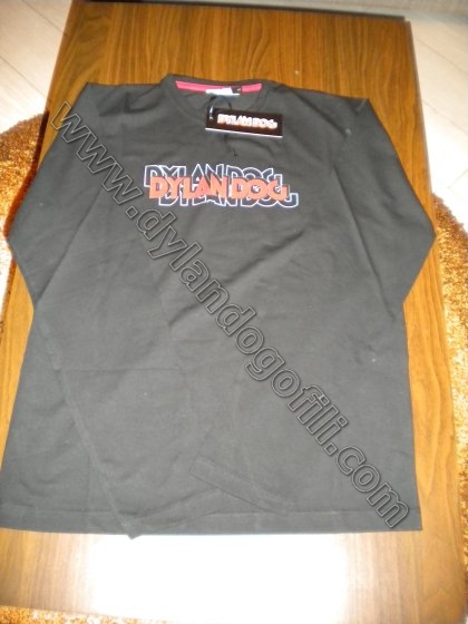 MAGLIETTA BASANISI MODELLO LOGO COLORE GRIGIO                                                                                                                                                                                                             